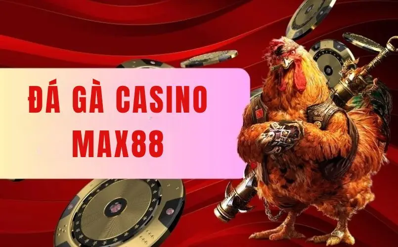 Đá Gà Casino Max88