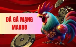 Đá Gà Mạng Max88