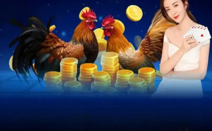 Khuyến mãi hấp dẫn tại Đá Gà Casino Max88